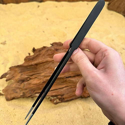 Karbon Kaplama Düz Uçlu Bitki Maşası (Cımbız) - 25cm