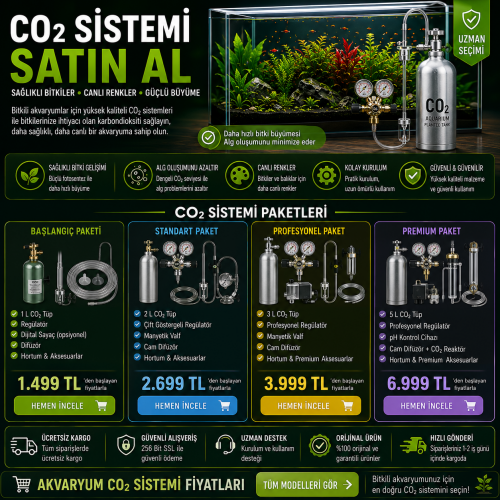 CO2 Sistemi Satın Al | Akvaryum CO2 Sistemi Fiyatları