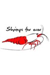 Shrimpsforever