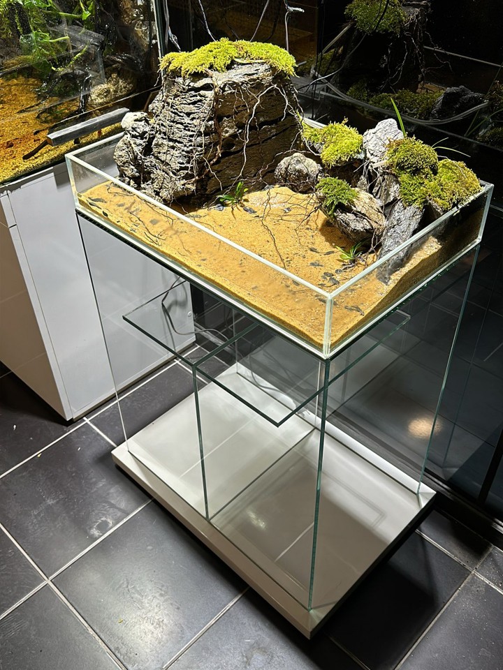 Aksan Akvaryum