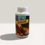 Shrimpsforever Growth 150gr