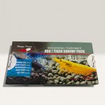 Shrimpsforever Neocaridina/Tiger Sp Starter Pack