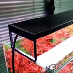 Chihiros WRGB II Pro 80 Led Aydınlatma