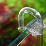 Aquario Neo Holder 1 Adet