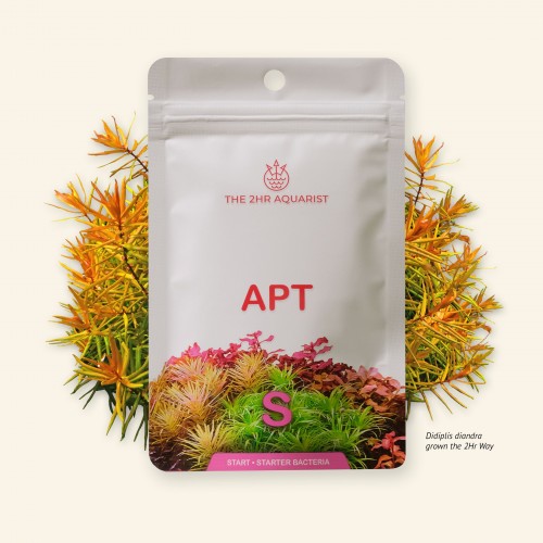 The 2HR Aquarist APT Start Bitki Gübresi 45gr
