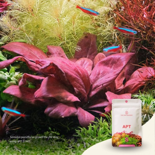 The 2HR Aquarist APT Start Bitki Gübresi 45gr