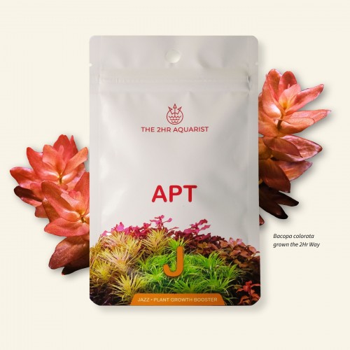 The 2HR Aquarist APT Jazz Kapsül Gübre 9 Adet