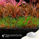 The 2HR Aquarist APT SKY 150 gr