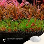 The 2HR Aquarist APT Sky Plus 150gr
