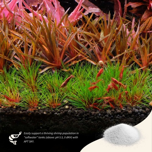 The 2HR Aquarist APT Sky Plus 150gr