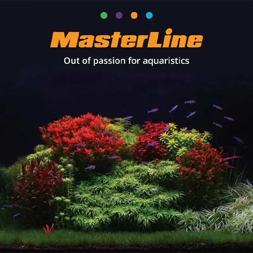 Masterline Carbo 500 ml Yosun Giderici