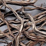 Black Flame Wood 1Kg