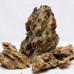Dragon Stone 1Kg