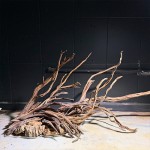 Black Flame Wood 1Kg