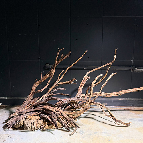 Black Flame Wood 1Kg