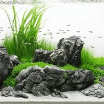 Black Seiryu Stone 1Kg