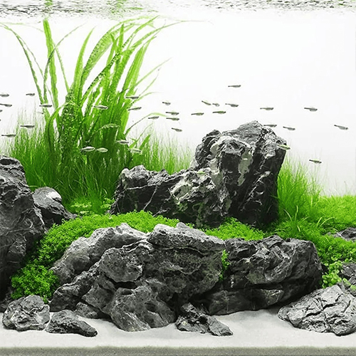 Black Seiryu Stone 1Kg