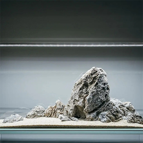 Seiryu Stone 1Kg